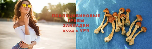 прущая мука Армянск