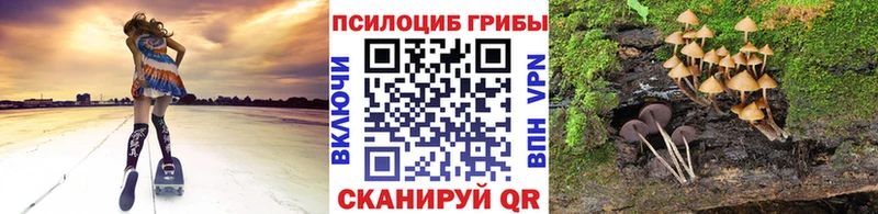Псилоцибиновые грибы прущие грибы  Макарьев 